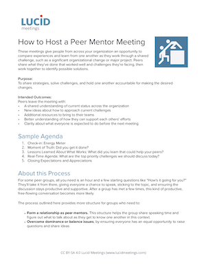 Lucid-Guide-to-Peer-Mentor-Meetings