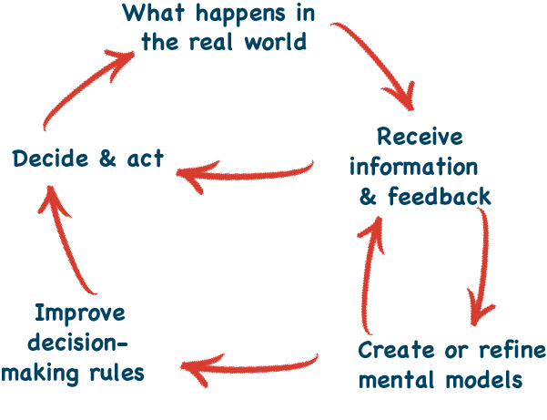 Decide - see real world results - get information - update mental models - update decision making rules - decide again