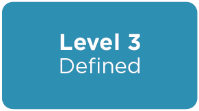 Level 3: Defined
