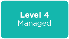 Level 4: Managed