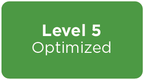 Level 5: Optimized