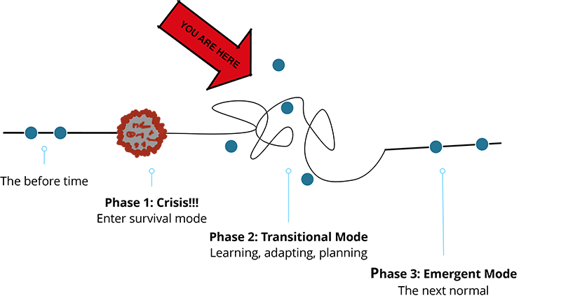 1. Crisis, 2. Transition (you are here), 3. emerging into next normal