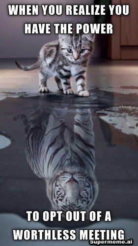 When you realize you have the power to opt out, your inner kitty becomes a tiger