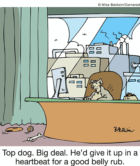 Cartoon - Top dog, big deal, he'd give it up in a heartbeat for a good belly scratch.